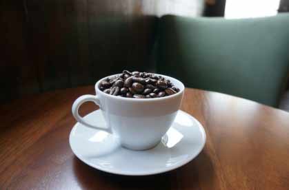 焙煎珈琲ウェカラパ - COFFEE SHOP / COFFEE BEANS SHOP
