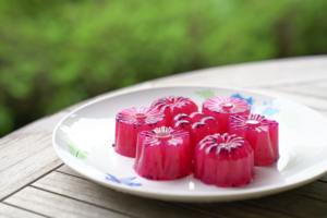 寒天が固まる温度は何度 寒天を早く固める方法は